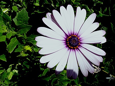 7 .Buenos Aires, Argentina (Day 1)