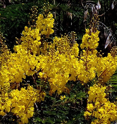 71. Montevideo, Uruguay