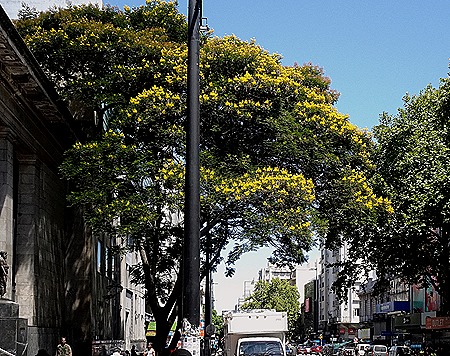 72. Montevideo, Uruguay_ShiftN