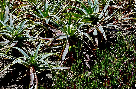 74. Punta del Este, Uruguay