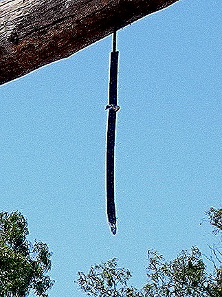 78a .Buenos Aires, Argentina (Day 1)