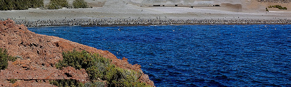 87a. Puerto Madryn_stitch