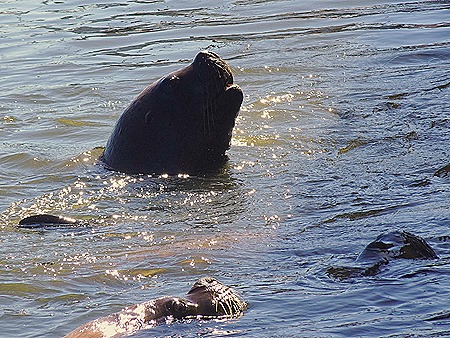 9. Punta del Este, Uruguay