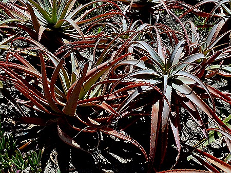 90. Punta del Este, Uruguay