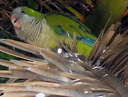 96. Punta del Este, Uruguay