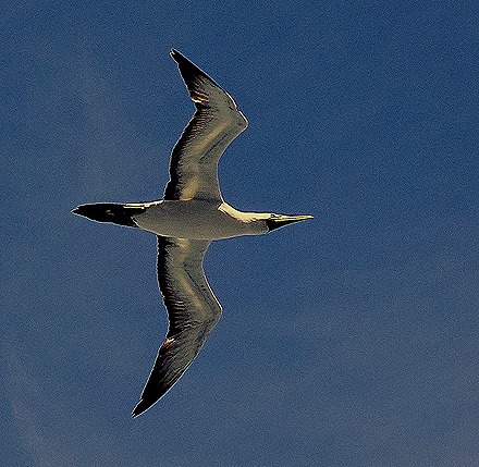 100. Rio de Janeiro (Day 2)