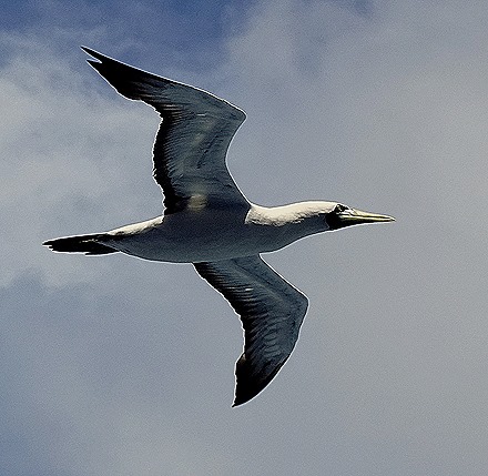 102. Rio de Janeiro (Day 2)