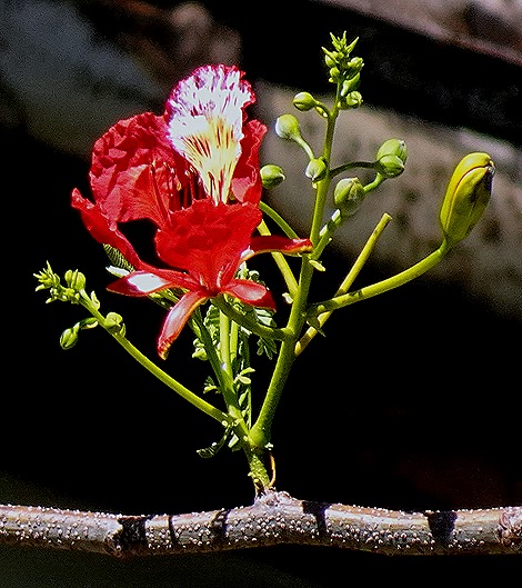 27. Ilhabella, Brazil