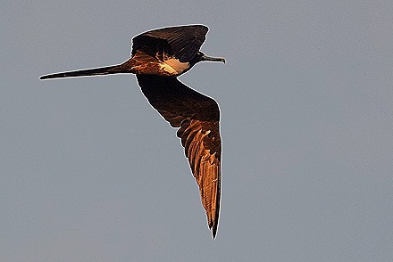 50. Rio de Janeiro RX10  (Day 1)