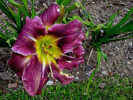 87. Buenos Aires, Argentina (Day 2)