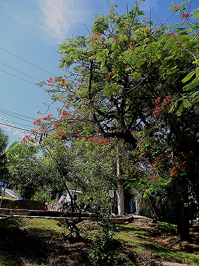 9. Ilhabella, Brazil