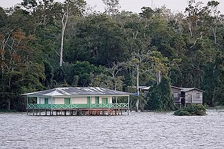 135. Amazon 1 (RX10)