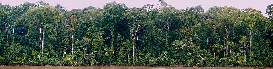 13a. Amazon 1 (RX10)_stitch