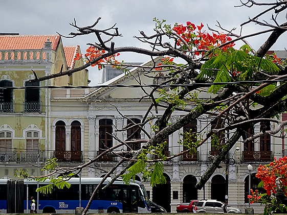 141. Recife & Olinda, Brazil