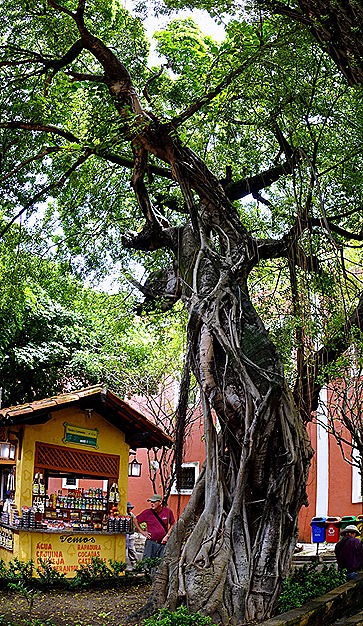 23a. Fortaleza, Brazil_stitch