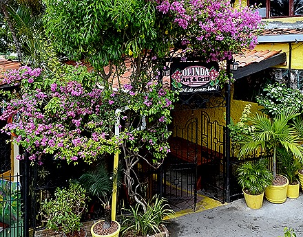 26. Recife & Olinda, Brazil_ShiftN