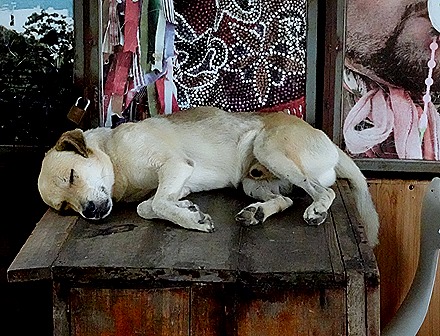 27. Recife & Olinda, Brazil