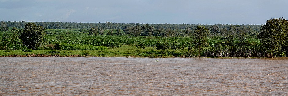 44b. Amazon 1 (RX10)_stitch