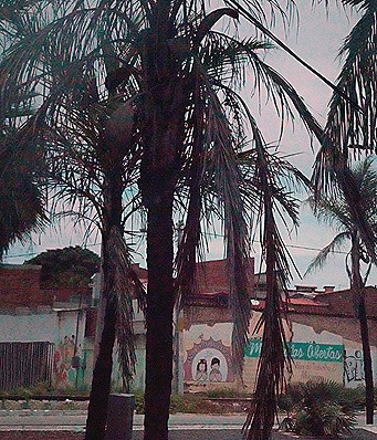 56a. Fortaleza, Brazil_stitch