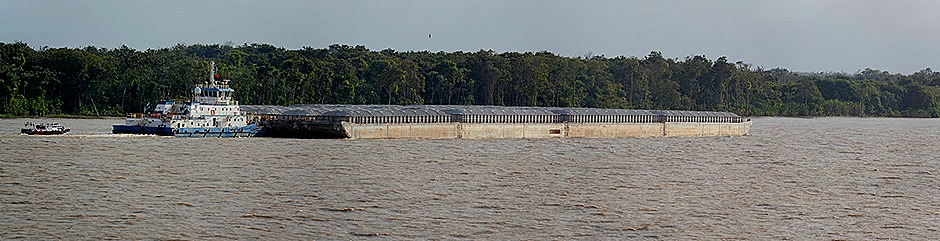 65a. Amazon 1 (RX10)_stitch