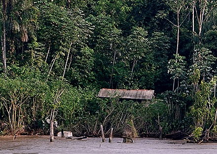 75a. Amazon 1 (RX10)_stitch