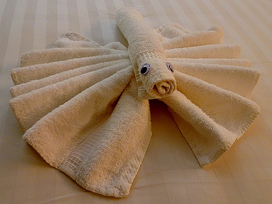 77. Fortaleza, Brazil