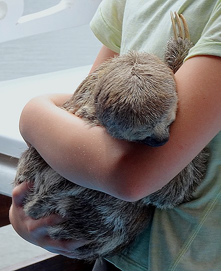 103. Santarem, Brazil