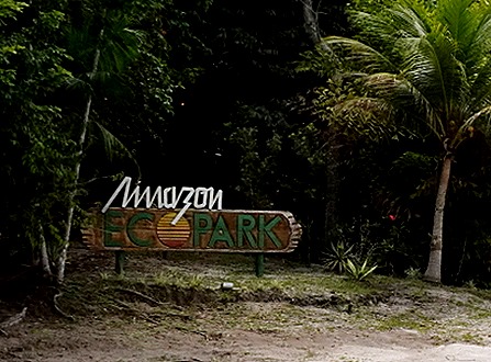 105. Manaus, Brazil (Day 1)