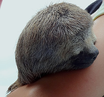 106. Santarem, Brazil