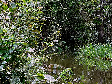 115. Santarem, Brazil