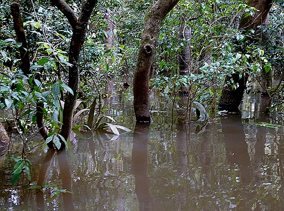 116. Santarem, Brazil