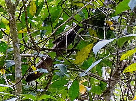 122. Santarem, Brazil