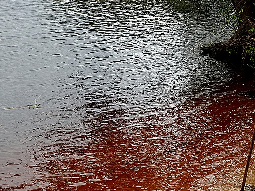 124. Manaus, Brazil (Day 2) 