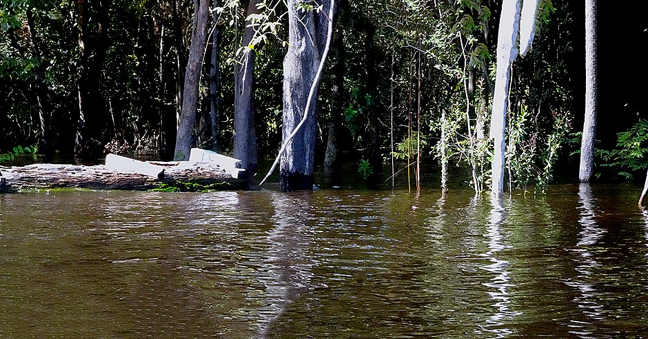 124a. Manaus, Brazil (Day 1)_stitch