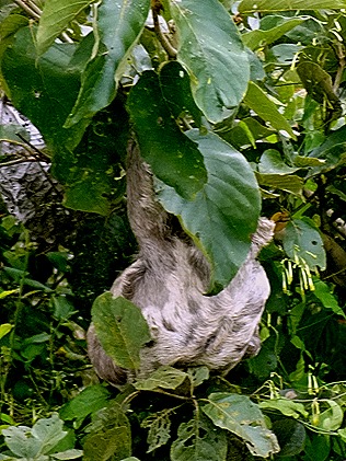 146. Santarem, Brazil