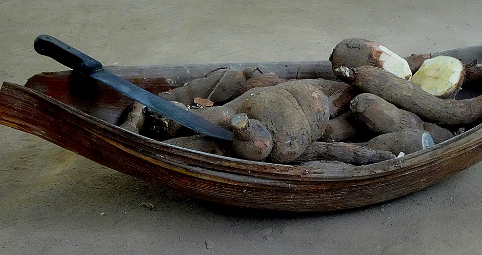 148. Manaus, Brazil (Day 2) 