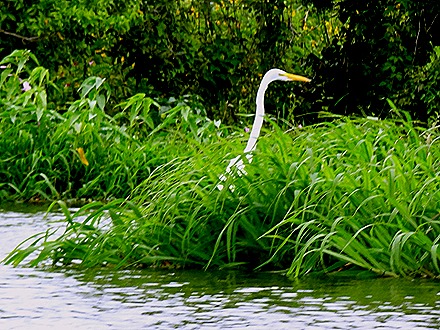 148. Santarem, Brazil