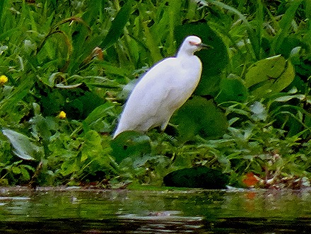 153. Santarem, Brazil