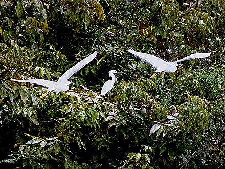 156. Santarem, Brazil