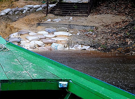 165. Manaus, Brazil (Day 2) 