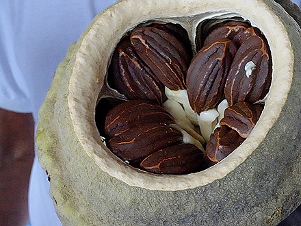 179. Santarem, Brazil