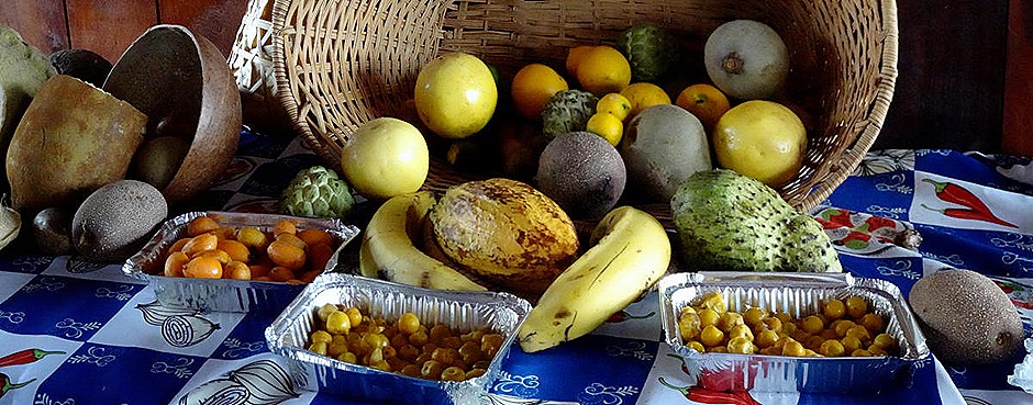 180a. Santarem, Brazil_stitch