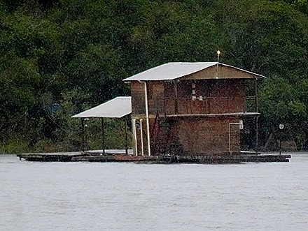 190. Manaus, Brazil (Day 2) 