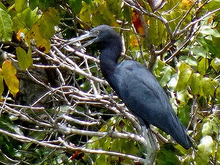192. Santarem, Brazil
