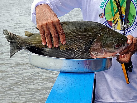 196. Santarem, Brazil