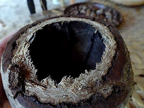 203. Manaus, Brazil (Day 1)