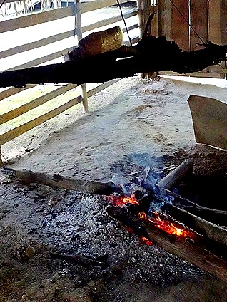 208. Manaus, Brazil (Day 1)