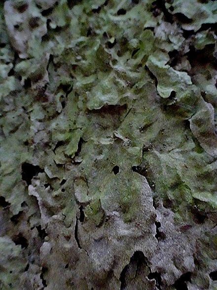 21. Alter do Chao, Brazil