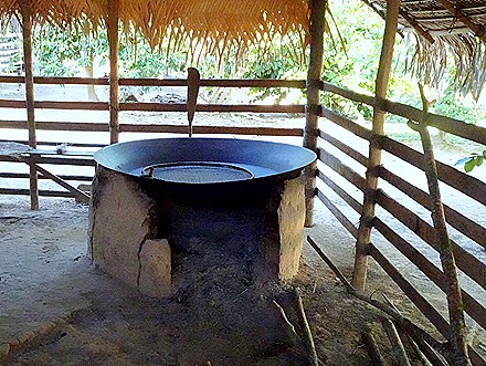 215. Manaus, Brazil (Day 1)