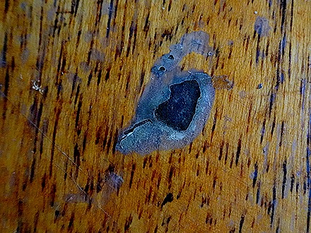 227. Alter do Chao, Brazil